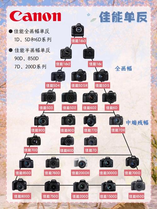 佳能eos40d还能用吗，佳能40d过时了吗-第4张图片-优品飞百科