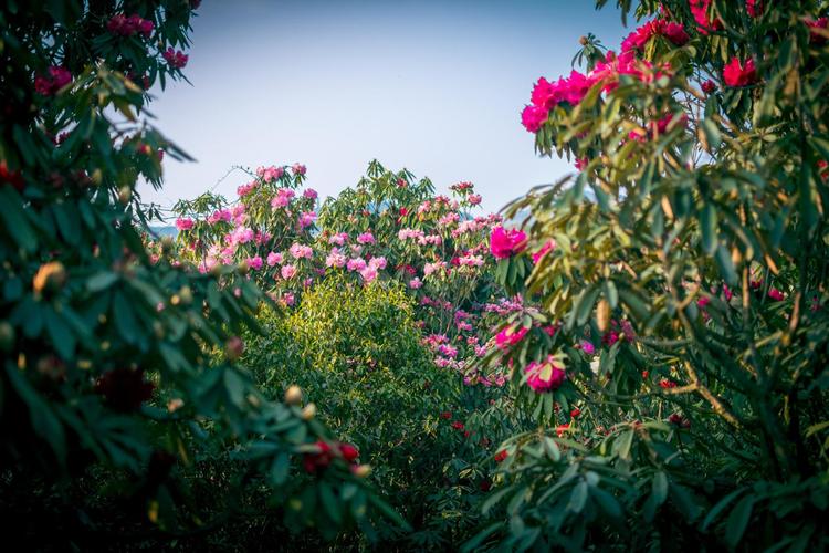 今日贵州天气预报，今天贵州天气预报一周？-第3张图片-优品飞百科