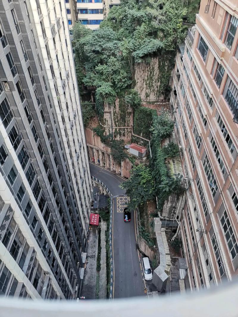 今日山城明天气温？山城区30天天气预报？-第3张图片-优品飞百科