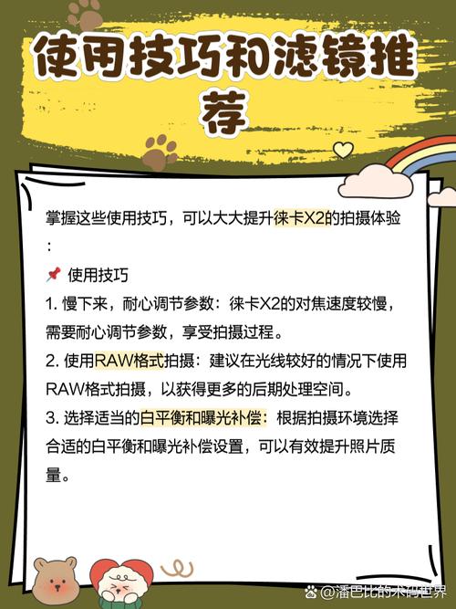 徕卡x1什么时候上市的，徕卡x1是ccd吗？-第1张图片-优品飞百科