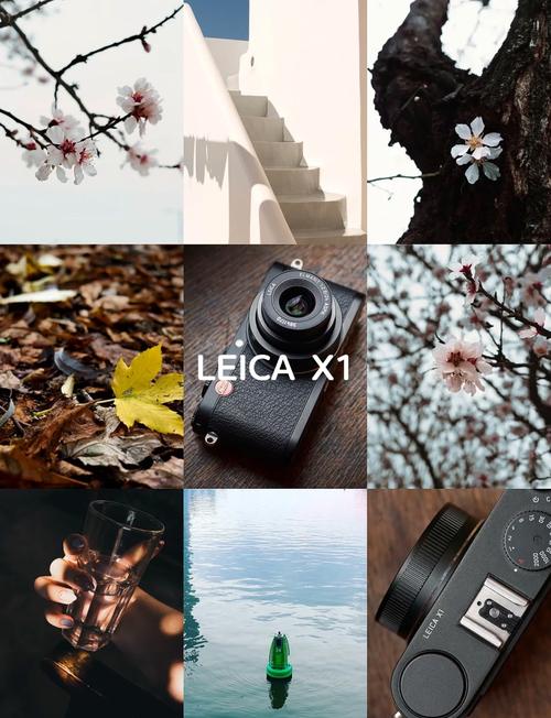 徕卡x1什么时候上市的，徕卡x1是ccd吗？-第2张图片-优品飞百科
