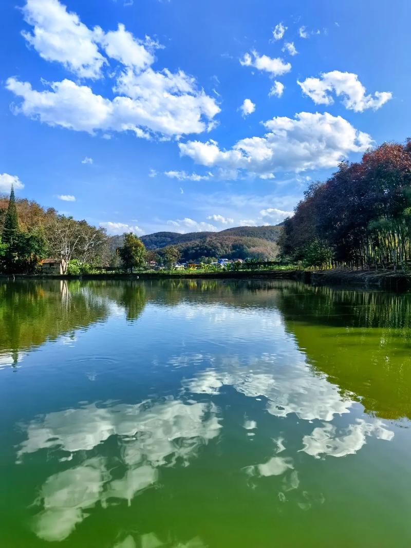 今日纳山天气情况，今日纳山天气情况怎么样？-第3张图片-优品飞百科