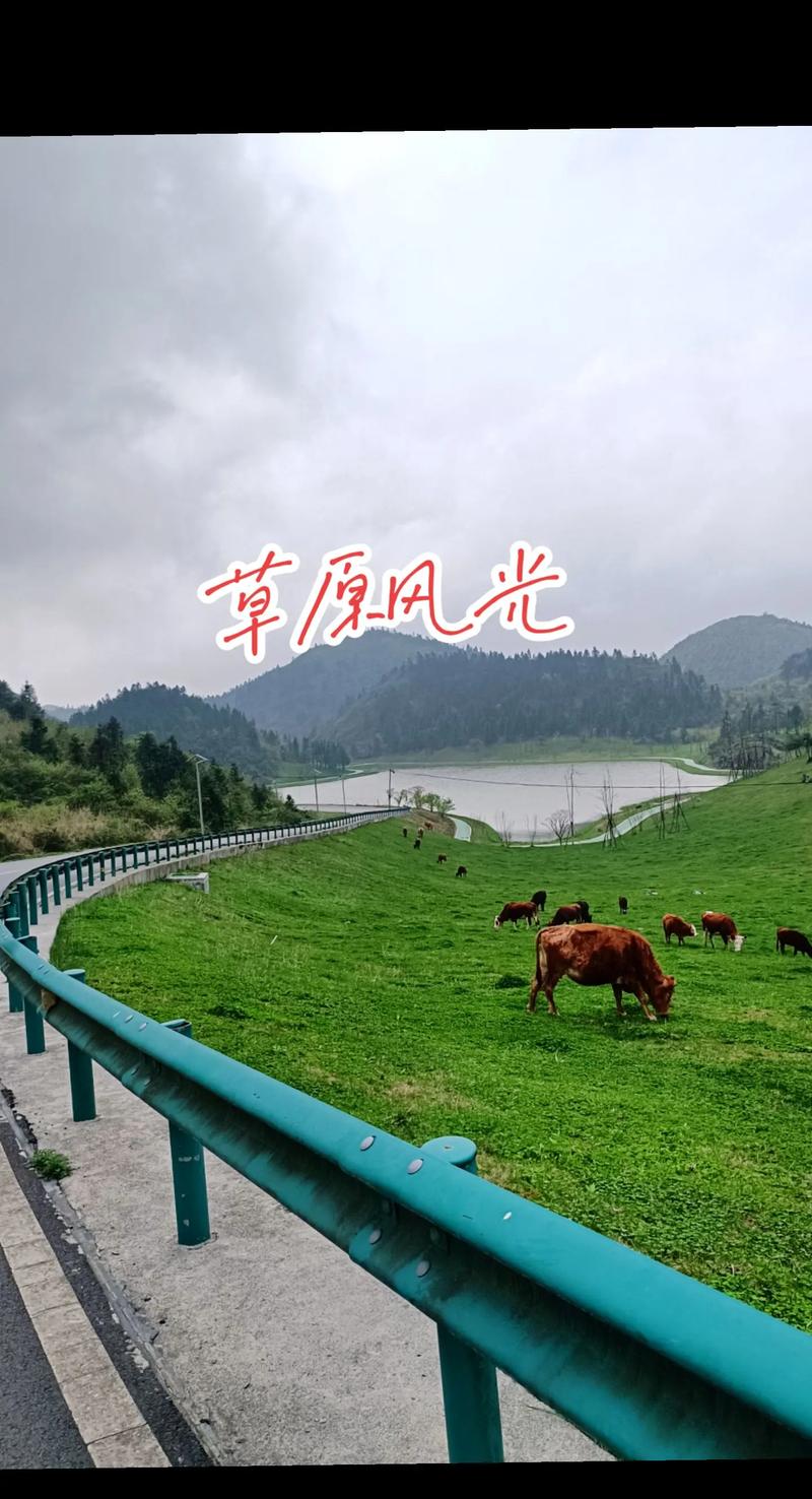 酉阳涂市今日天气？酉阳涂市今日天气预报？-第5张图片-优品飞百科