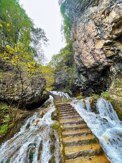 栾川今日天气预报？明天栾川天气预报一周？-第1张图片-优品飞百科