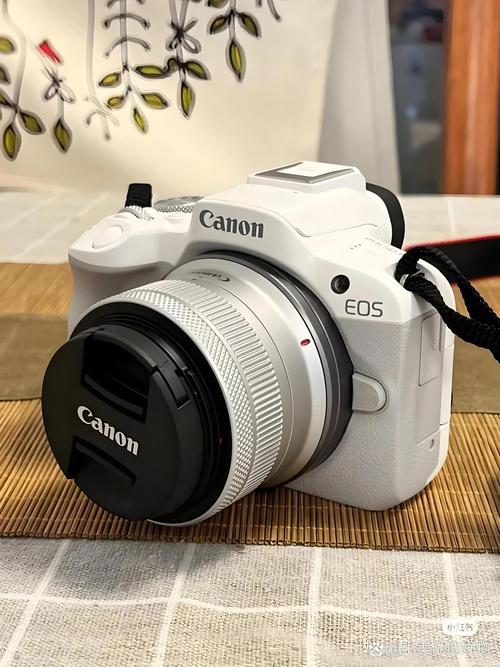 尼康d3200是单反还是微单,尼康d3200值得入手吗?-第4张图片-优品飞百科 尼康d3200是单反还是微单,尼康d3200值得入手吗?-第4张图片-优品飞百科