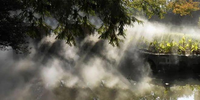 搜索今日夜晚天气，外地住院在哪里报销合适？-第2张图片-优品飞百科