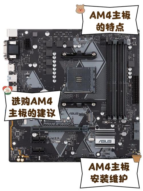 am3散热器能用在am4？am4原装散热用于am3主板？-第2张图片-优品飞百科