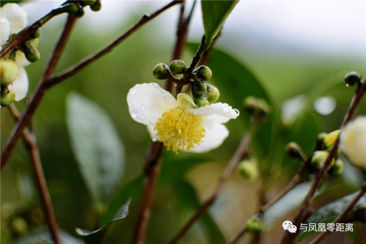 今日潮州天气气温，今日潮州天气气温-第3张图片-优品飞百科