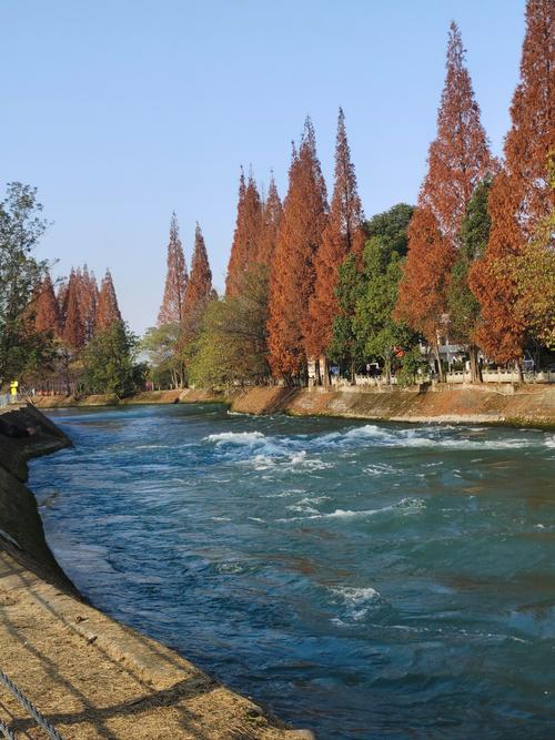 安仁古镇今日天气？安仁古镇今日天气如何？-第1张图片-优品飞百科