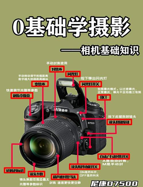 佳能850d和90d哪个好，佳能850d和90d和200d-第1张图片-优品飞百科