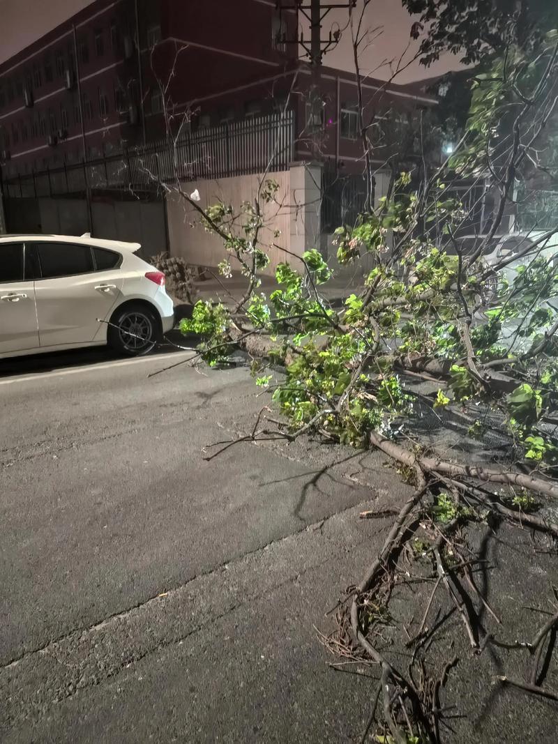汇川天气今日气温，今天汇川区天气怎么样？