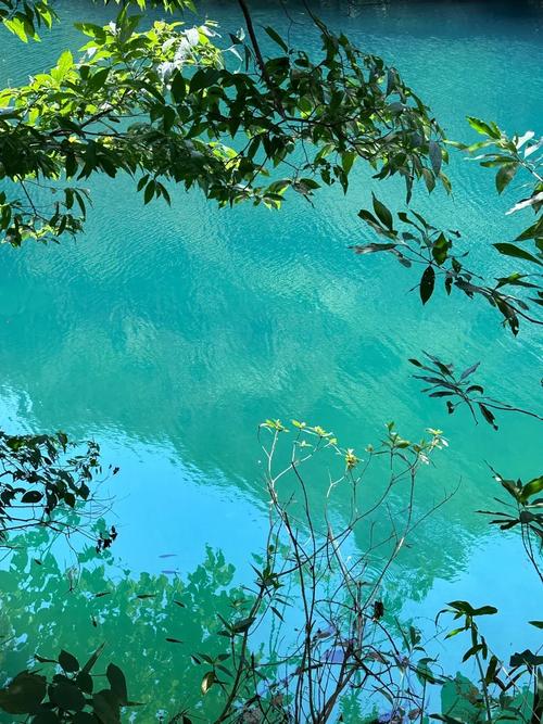 今日肇庆天气图片？明天广东肇庆天气？-第2张图片-优品飞百科