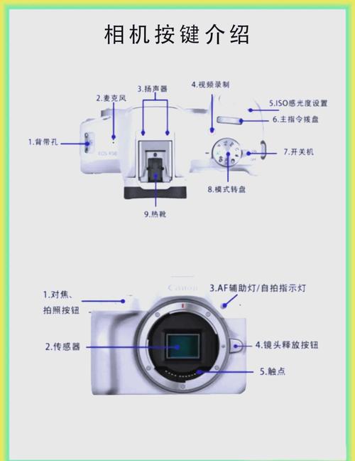 佳能eosr50怎么样？佳能微单eosr5？-第2张图片-优品飞百科