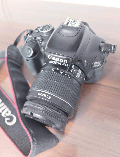 佳能600d出厂时间？佳能600d上市时间？-第5张图片-优品飞百科