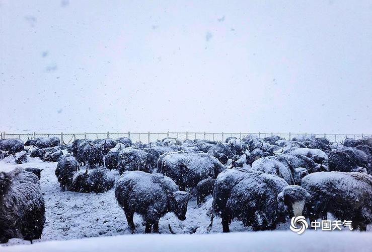 今日化隆天气情况？今日化隆天气情况查询？-第2张图片-优品飞百科