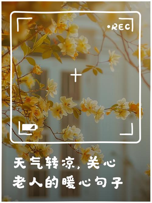 今日的天气好凉呀，唱脸谱四年级下教案-第3张图片-优品飞百科