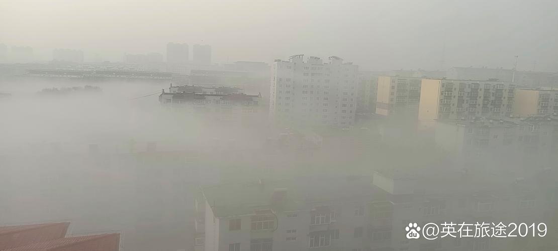 今日小吕前营天气，春天到了刺猬说什么？