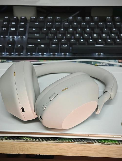 索尼蓝牙耳机推荐性价比高，索尼蓝牙耳机推荐性价比高吗-第2张图片-优品飞百科