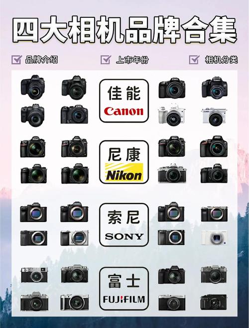 佳能数码相机的各种反馈数据，佳能相机问题？