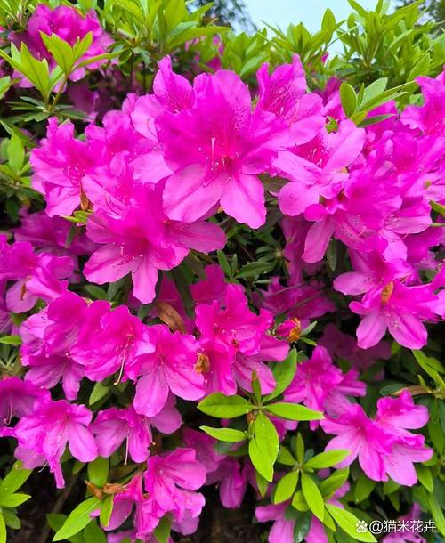 石坎今日天气情况,石坝天气预报一周?-第3张图片-优品飞百科 石坎今日天气情况,石坝天气预报一周?-第3张图片-优品飞百科