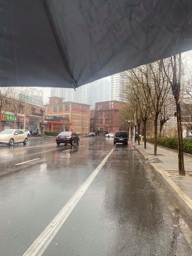 河北邯郸今日天气，邯郸地区今天天气-第3张图片-优品飞百科