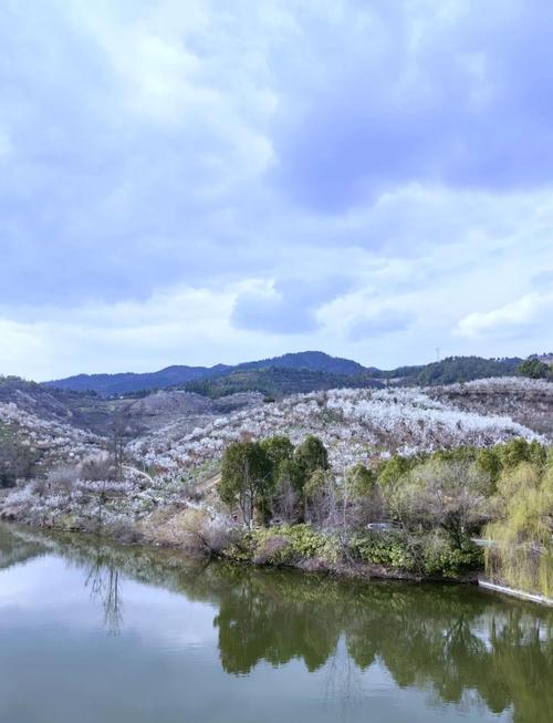 西乡天气今日查询，今天西乡天气预报-第2张图片-优品飞百科