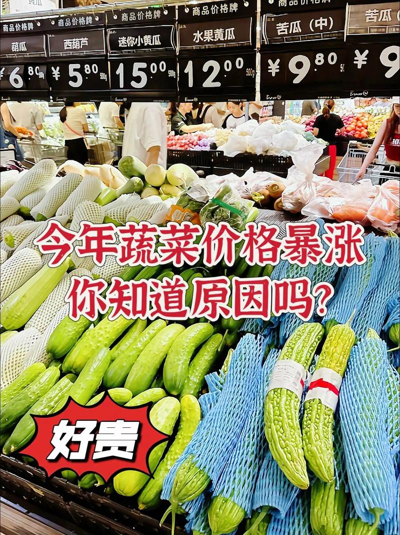 天津今日天气菜价，天津 今日菜价？-第4张图片-优品飞百科