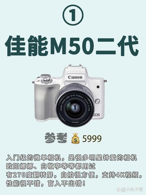 索尼单反a550怎么样？索尼单反a5000？-第3张图片-优品飞百科