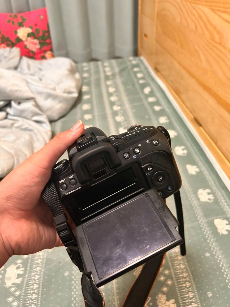 索尼单反a550怎么样？索尼单反a5000？-第4张图片-优品飞百科