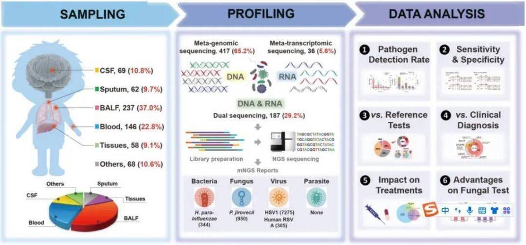 宏基因组测序多少钱一个样本？宏基因组测序80g要多少钱？-第2张图片-优品飞百科