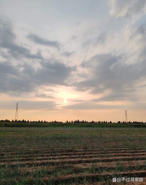 武陟天气今日图片？焦作武陟今天天气预报？-第4张图片-优品飞百科