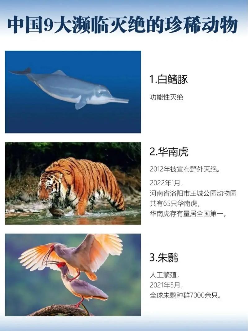 今日铜陵天气情景，查看今天铜陵天气预报请报一下？-第3张图片-优品飞百科