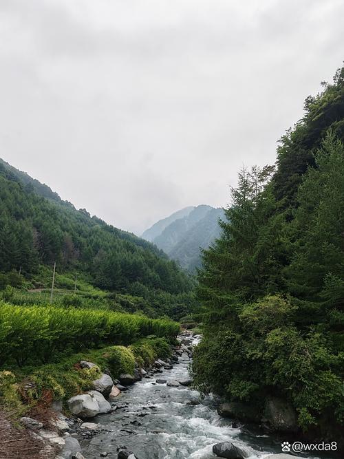 汶川天气预报今日?汶川天气预报今日查询?-第2张图片-优品飞百科 汶川天气预报今日?汶川天气预报今日查询?-第2张图片-优品飞百科