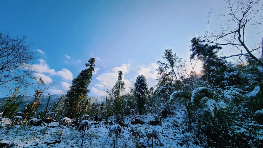崇州燎原今日天气？强调句的倒装？-第5张图片-优品飞百科