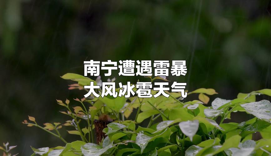 梧州今日天气实况，今日梧州气温？-第1张图片-优品飞百科