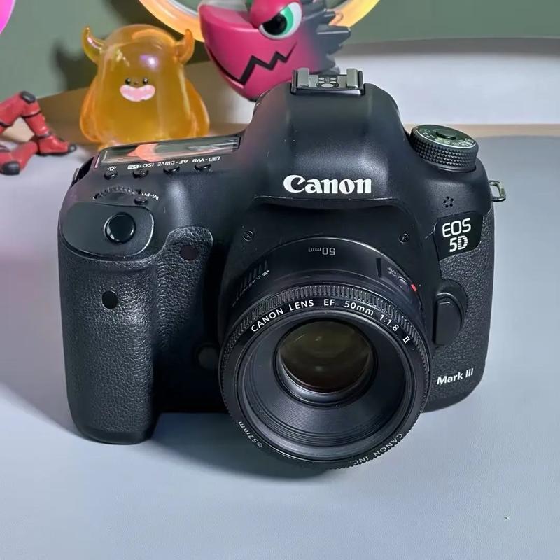 佳能1ds3高感？佳能1ds mark3评测？-第1张图片-优品飞百科