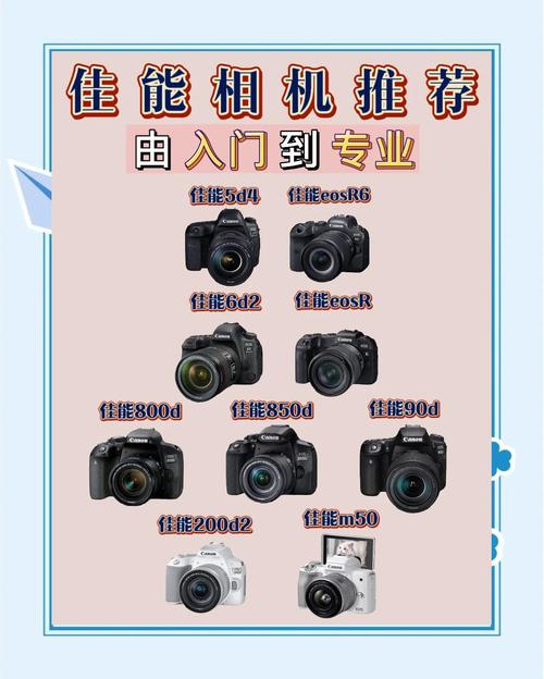 佳能1ds3高感？佳能1ds mark3评测？-第3张图片-优品飞百科