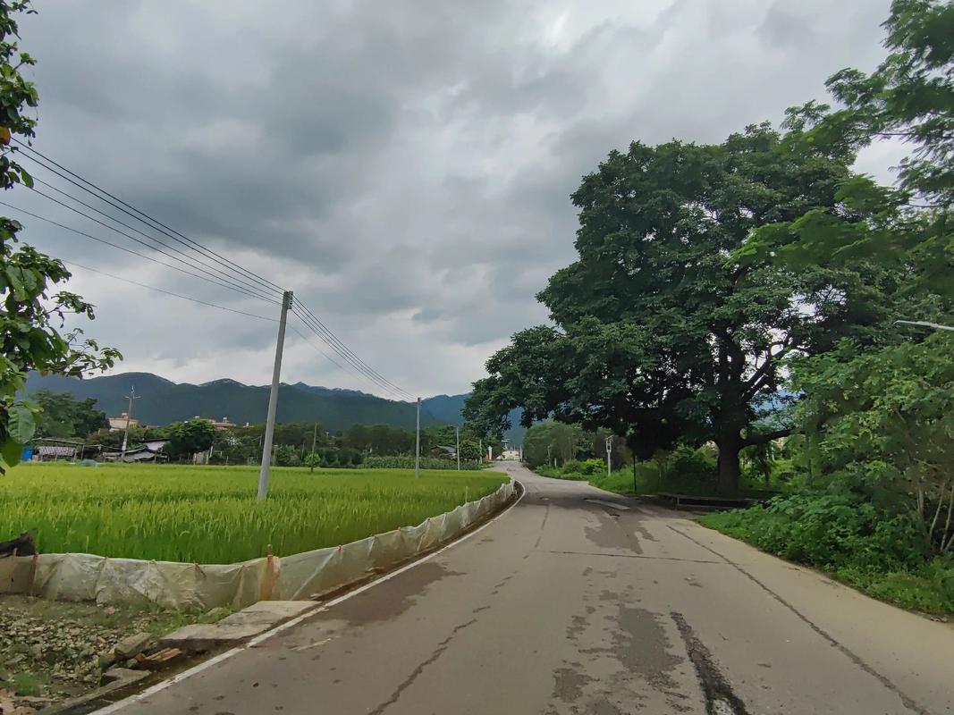 清远佛冈天气今日？佛冈一周天气预报一周？-第3张图片-优品飞百科