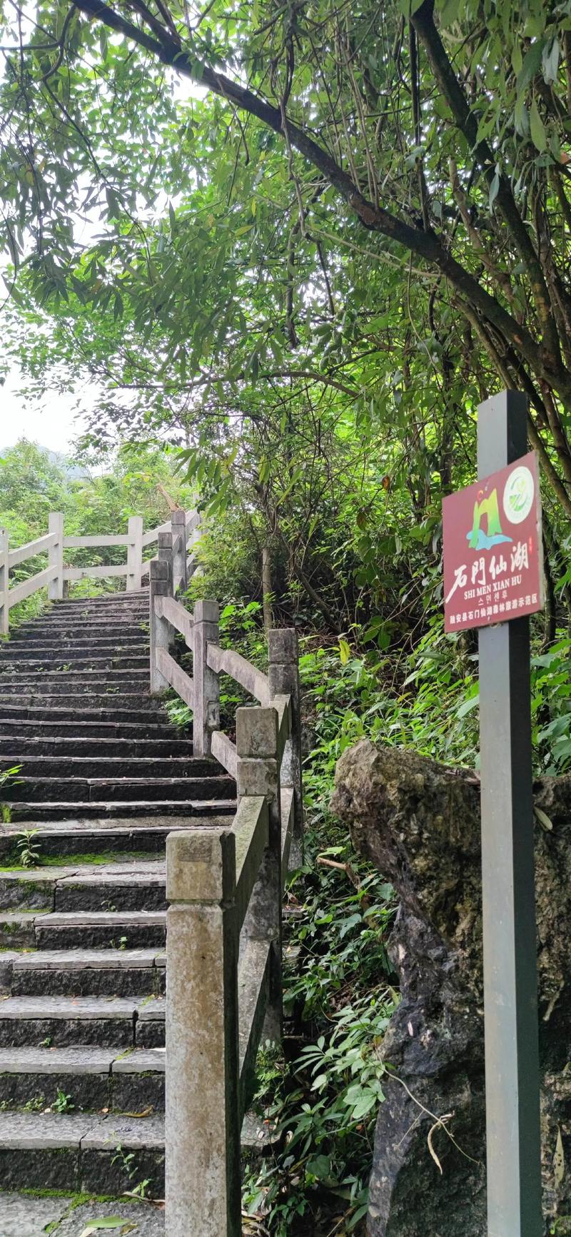 仙湖景区今日天气，仙湖景区今日天气预报-第4张图片-优品飞百科