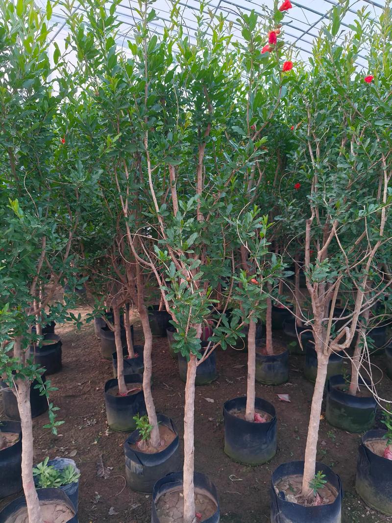 今日蒙阳天气情况，今日蒙阳天气情况如何-第2张图片-优品飞百科