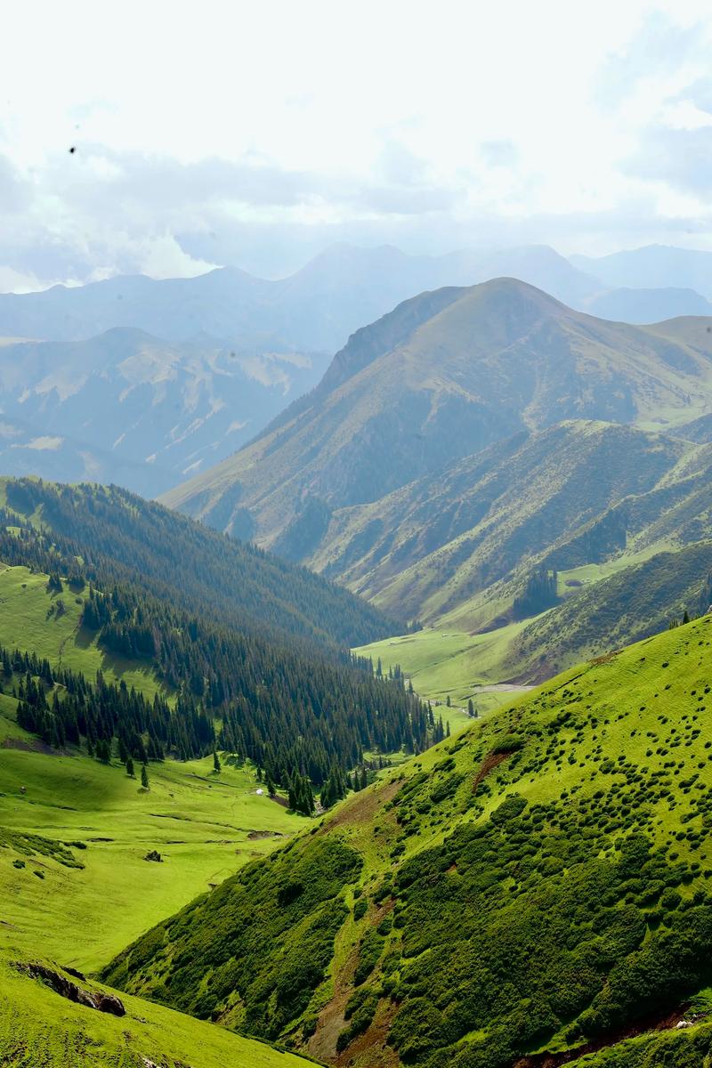 昭苏县天气预今日，昭苏天气预报40天查询-第3张图片-优品飞百科