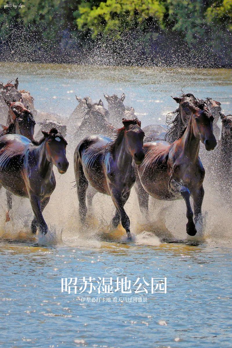 昭苏县天气预今日，昭苏天气预报40天查询-第4张图片-优品飞百科