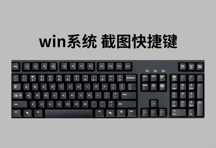 电脑截屏是什么键？电脑截屏是按哪个键?？-第5张图片-优品飞百科
