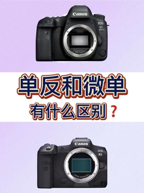 微单和单反镜头的区别，微单镜头比单反镜头好吗-第3张图片-优品飞百科