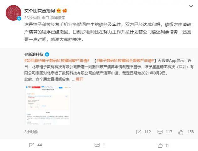 锤子科技怎么倒闭了？锤子科技被卖给谁了？-第4张图片-优品飞百科