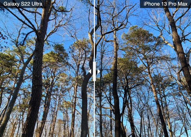 苹果三星拍照对比，苹果手机和三星手机哪个拍照效果好-第4张图片-优品飞百科