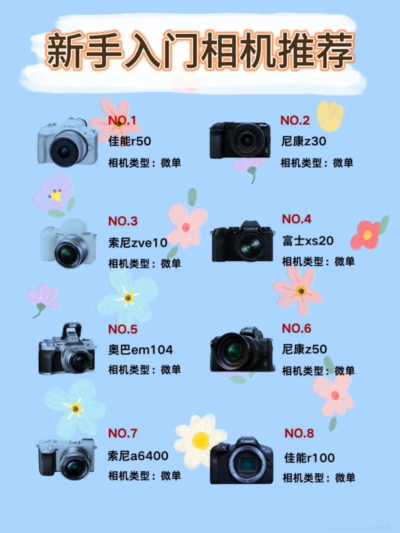 新手买什么相机合适，新手买什么相机比较合适-第5张图片-优品飞百科