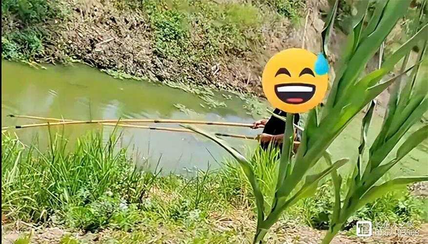 今日遂宁大英天气，今日遂宁大英天气情况-第2张图片-优品飞百科