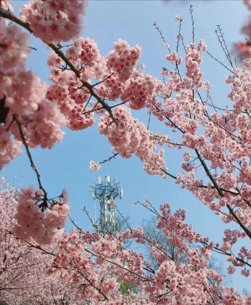 合川三汇今日天气？重庆合川三汇天气？-第3张图片-优品飞百科