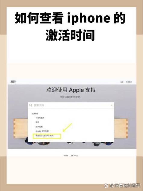 iphone序列号激活查询，苹果序列号查激活时间查询？-第5张图片-优品飞百科